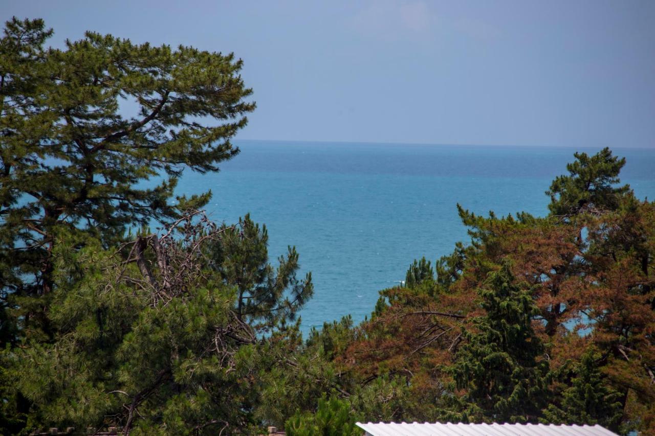 Chveni Ezo Boutique Hotel Kobuleti Luaran gambar